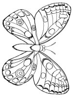 Fluture