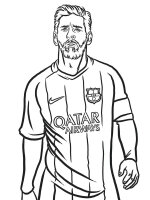 Fotbalist