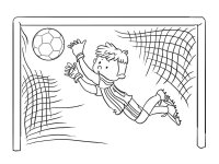 Fotbalist
