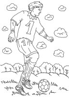Fotbalist