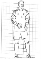 Fotbalist