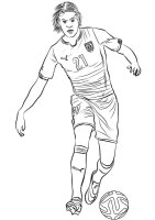 Fotbalist