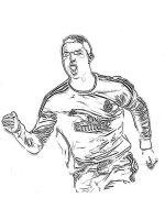 Fotbalist
