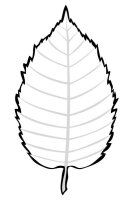Frunze