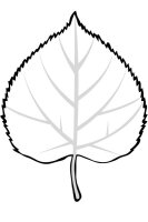 Frunza