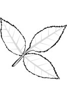 Frunza