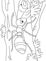 Furnica