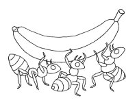 Furnica