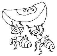 Furnica