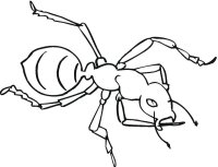 Furnica