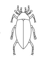Gandac