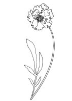 Garoafa
