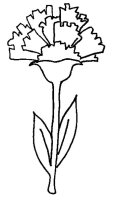 Garoafa