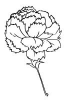 Garoafa
