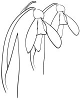 Ghiocel