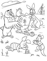 Gradina de legume