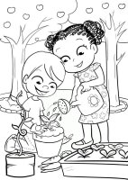 Gradina de legume