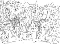 Gradina de legume