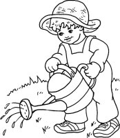 Gradina de legume