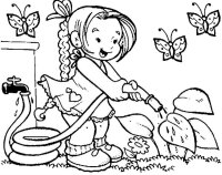 Gradina de legume