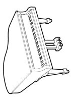 Instrument muzical