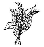Lacramioare