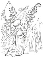 Lacramioare