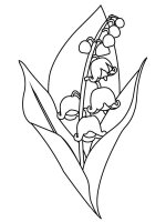 Lacramioare