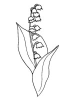 Lacramioare