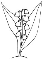 Lacramioare