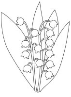 Lacramioare