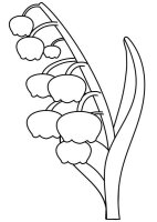 Lacramioare