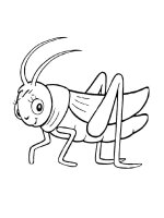 Lacusta