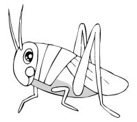 Lacuste