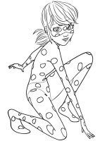 Ladybug