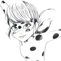 Ladybug