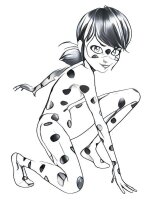 Ladybug