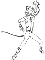 Ladybug