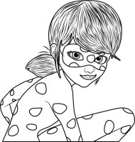 Ladybug