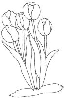Lalea