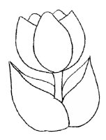 Lalea