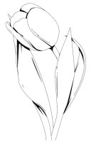Lalea