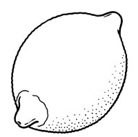 Lamaie