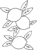 Lamaie