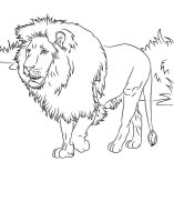 Leu