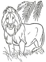 Leu