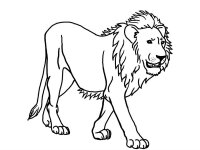 Leu