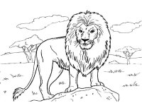 Leu
