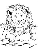 Leu