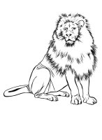 Leu